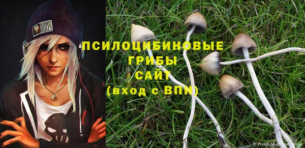 не бодяженный Богданович