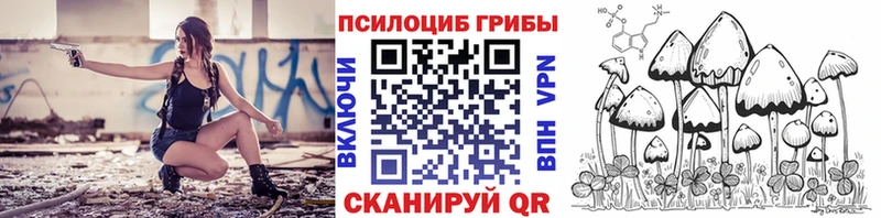 Купить  Семёнов  Псилоцибиновые грибы MAGIC MUSHROOMS 